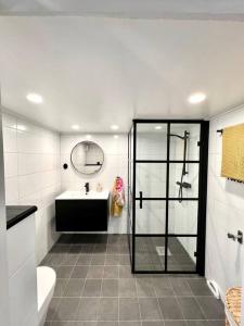 W łazience znajduje się prysznic i umywalka. w obiekcie Attefallshus Alingsås / Dammen. w mieście Alingsås