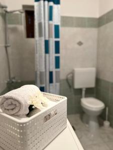 a bathroom with a toilet and a basket with towels at Apartment Nela in Brna