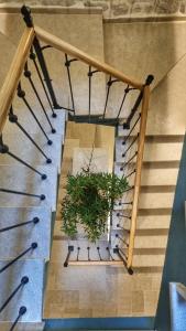 a spiral staircase with a potted plant on it at Casa Vita Nova in Perast