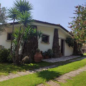 una casa con una palmera delante de ella en Casa Bados, en Dorgali