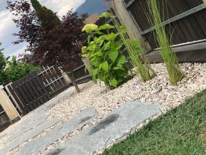 Zahrada ubytování Apartments Torggl
