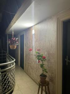 Foto dalla galleria di Welcome to Kobuleti a Kobuleti