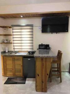 a kitchen with a counter with a stove and a sink at Center Point Mono ambiente en Constanza in Constanza