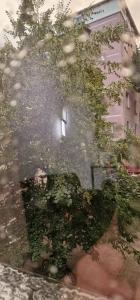 odbicie budynku z oknem i drzewem w obiekcie Heart of Tirana Apartment w Tiranie