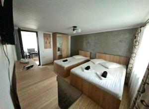 um quarto com 2 camas e uma grande janela em Casa Ostrov em Călimăneşti
