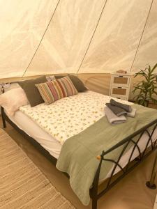 a bedroom with a bed in a tent at Glamping 4 Acres in Fryšták