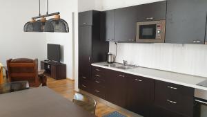 Kuchyň nebo kuchyňský kout v ubytování Apartment Karlovy Vary center - T. G. Masaryka