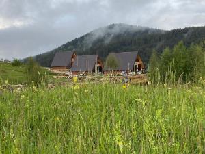 a field of tall grass with houses in the mountains at Runolist Chalet in Žabljak