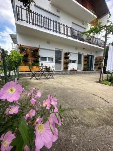 a house with pink flowers in front of it at Apartments Frau Trena in Gevgelija