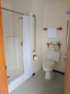a bathroom with a toilet and a shower at The Dublin House Motel in Yachats