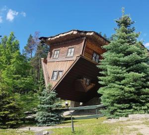 une grande maison en bois avec un arbre en face de celle-ci dans l'établissement Pod modrzewiem, à Ostrzyce