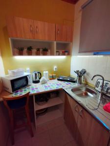 a kitchen with a counter with a microwave and a sink at spasmata houses in Minia