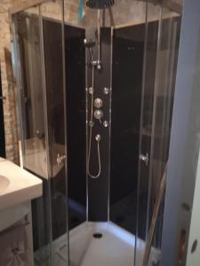 a shower with a glass door in a bathroom at Loft vintage avec cuisine intégrée in Pouilly-en-Auxois