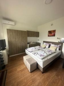 Gallery image of Apartments Frau Trena in Gevgelija
