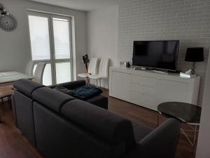 Il comprend un salon doté d'un canapé et d'une télévision à écran plat. dans l'établissement Apartament Centrum, à Suwałki