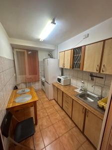a small kitchen with a sink and a refrigerator at Apartament Calea Grivitei Podul Grand in Bucharest