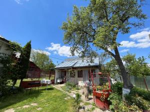 ein kleines Haus mit einem Baum im Garten in der Unterkunft Casa Bajora in Scorţeni