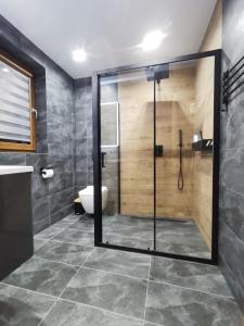 W łazience znajduje się kabina prysznicowa i toaleta. w obiekcie Daj spokój w Bieszczadach - całoroczny 7 osobowy domek z jacuzzi 884 - 367 - 792 w Polańczyku