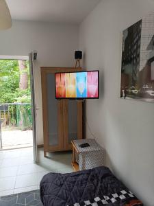 Telewizja i/lub zestaw kina domowego w obiekcie Viking Rożnów