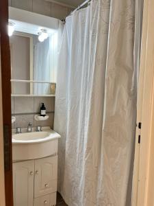 łazienka z umywalką i zasłoną prysznicową w obiekcie Departamento de 2 dormitorios, Excelente ubicación w mieście Mendoza