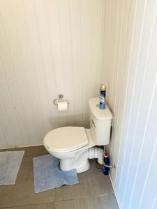 a bathroom with a white toilet in a room at Private Gated Studio Flat in Buckinghamshire