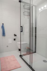 a bathroom with a glass shower and a toilet at Apartment Vito in Omiš