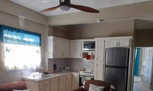 Atlantic Breeze Apartments, Canouan Island的厨房或小厨房