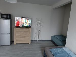 Μια τηλεόραση ή/και κέντρο ψυχαγωγίας στο FeWo Bismarck 32 - 1Raum