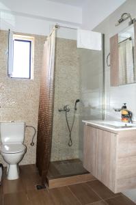 a bathroom with a shower and a toilet and a sink at Α & D Perikleous Apartments in Kyllini