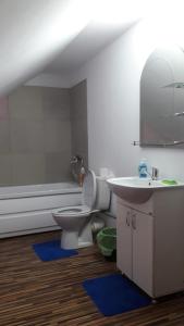 y baño con aseo y lavamanos. en Vila Siminica, en Salcia