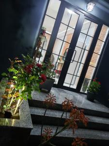 a set of stairs with potted plants in front of a building at MIDIA Guest House in K'obulet'i