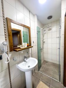 uma casa de banho com um lavatório e um chuveiro em Apartments & Rooms Brijest em Plav