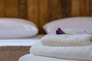 Gallery image of Aela Home in Pisa