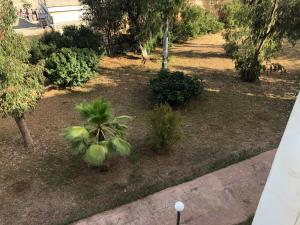 Zahrada ubytování Casablanca Beautiful and Tranquil Family Apartment