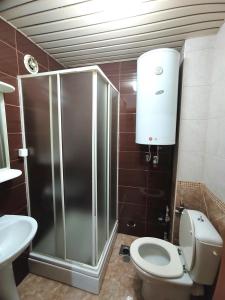 ein Bad mit einer Dusche, einem WC und einem Waschbecken in der Unterkunft Center flat in Skopje