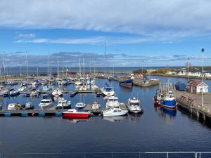 a bunch of boats are docked in a harbor at Harbour View & Beach 50m from doorstep! in Nairn