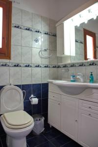 y baño con aseo, lavabo y espejo. en Magdas house, en Centro histórico de Alónnisos