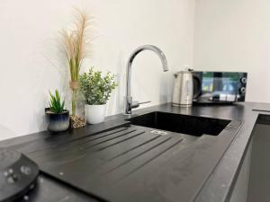 a kitchen counter with a sink and potted plants at Appartement Élégant proche RER/ CDG / Parc des Expos in Sevran +3 photos