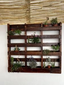 eine Holzwand mit Topfpflanzen darauf in der Unterkunft Casa MIJAS PUEBLO La Villa Nueva in Mijas