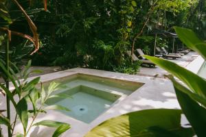 a small pool of water in the middle of a garden at Piedra de Agua Palenque in Palenque