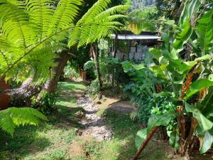 Giardino di Le Petit Paradis