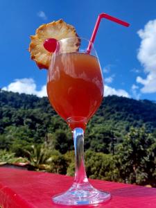 een drankje met een sinaasappelschijfje in een glas bij Le Petit Paradis in Roseau