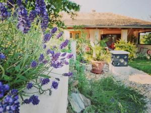 Gallery image of Levendula Vendèghàz in Zalaszentgrót