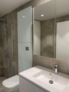 a bathroom with a sink and a toilet and a shower at Vervet apartment in Tromsø +14 photos