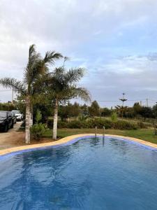 una gran piscina azul con 2 palmeras en Villa avec piscine et jardin privés en Casablanca