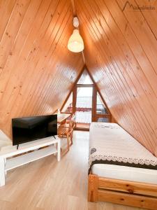 TV a/nebo společenská místnost v ubytování Willa Michałówka Attic