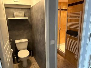 y baño pequeño con aseo y ducha. en La maison du Chêne 2 en Miniac-Morvan