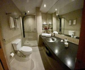Ванна кімната в Apartment for living and work Reforma Wifi Speed