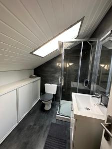 ein Bad mit einer Dusche, einem WC und einem Waschbecken in der Unterkunft La maison du chêne 3 in Miniac-Morvan