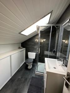 a bathroom with a shower and a toilet and a sink at La maison du chêne 3 in Miniac-Morvan